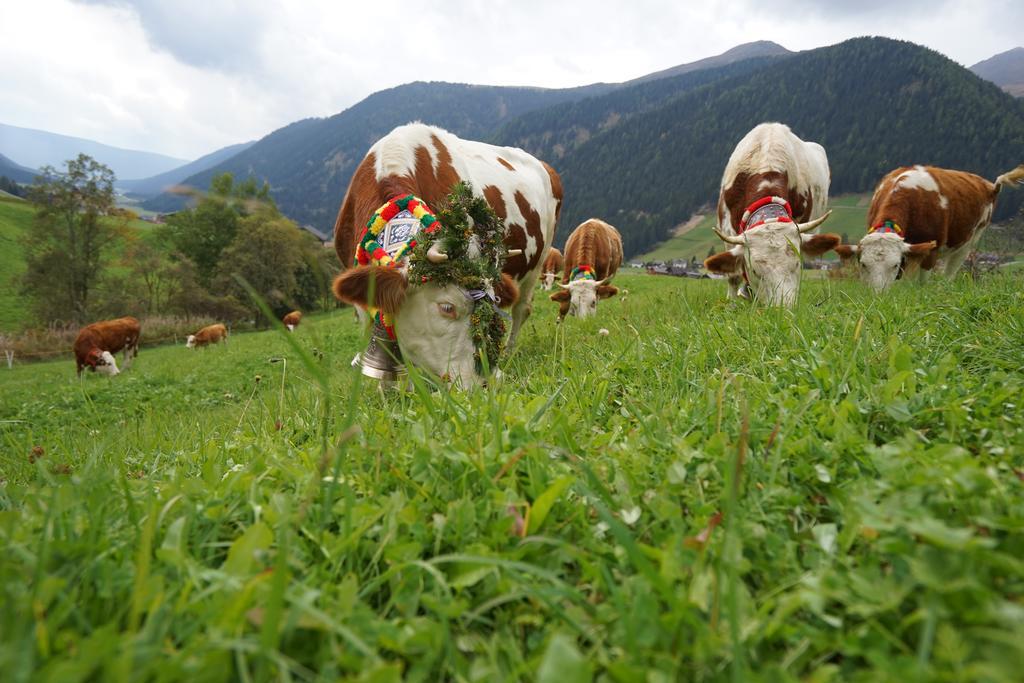 Unterhabererhof Leilighet Santa Maddalena in Casies Eksteriør bilde