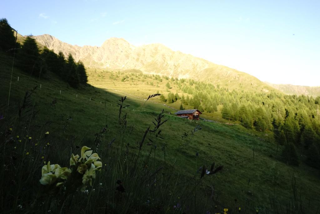 Unterhabererhof Leilighet Santa Maddalena in Casies Eksteriør bilde