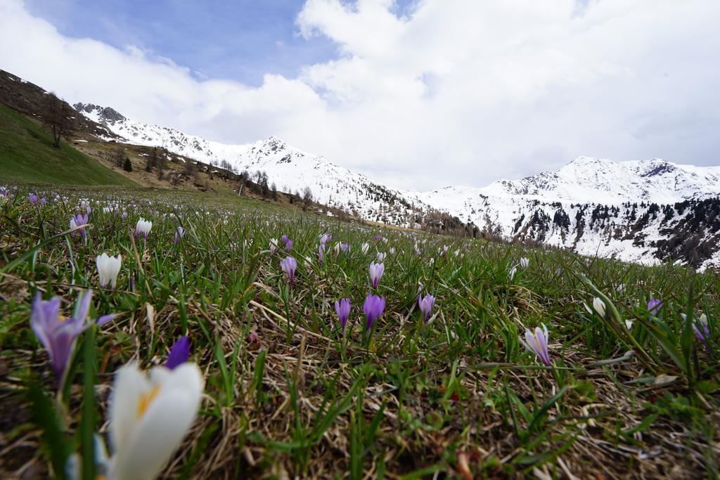 Unterhabererhof Leilighet Santa Maddalena in Casies Eksteriør bilde