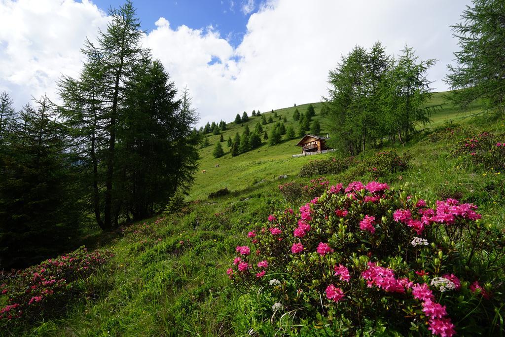 Unterhabererhof Leilighet Santa Maddalena in Casies Eksteriør bilde
