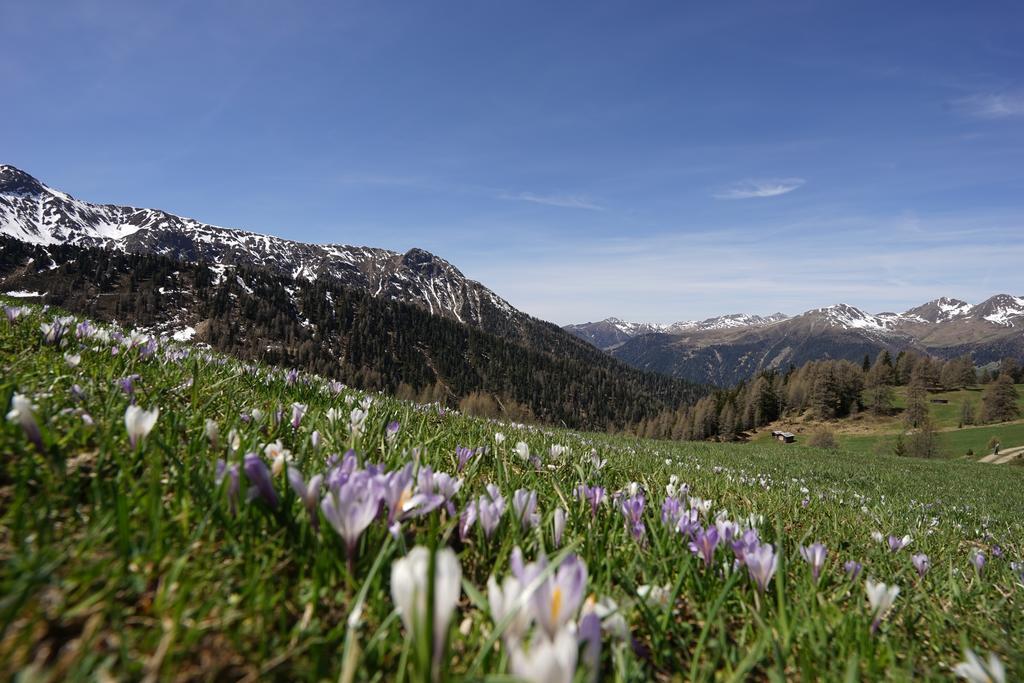 Unterhabererhof Leilighet Santa Maddalena in Casies Eksteriør bilde