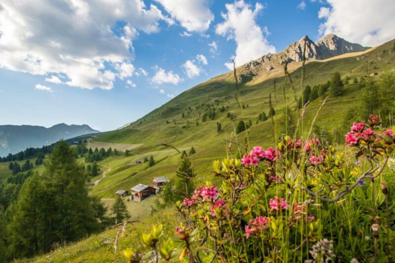 Unterhabererhof Leilighet Santa Maddalena in Casies Eksteriør bilde